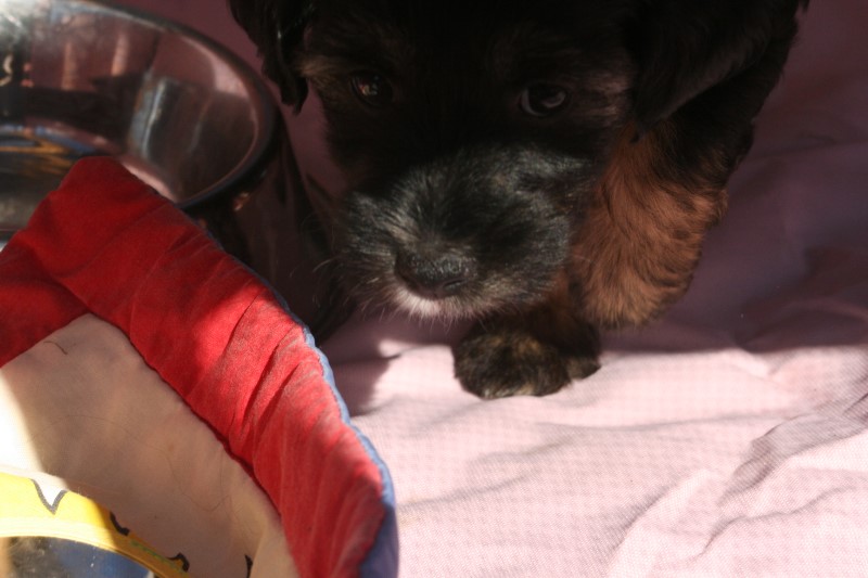 ../Images/Bild 060.jpg